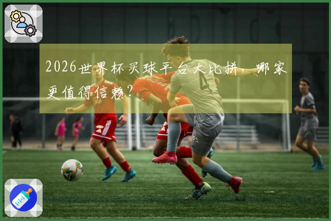 2026世界杯买球平台大比拼,哪家更值得信赖?