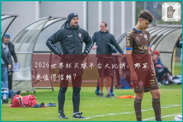 2026世界杯买球平台大比拼，哪家更值得信赖？